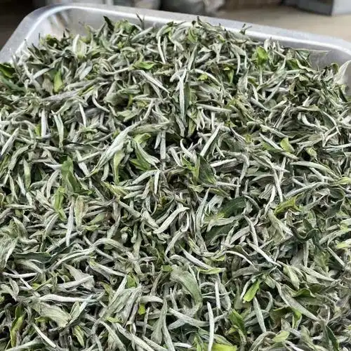 2022年新茶福鼎头采白牡丹散春茶500g花香水甜王福建白茶厂家茶叶