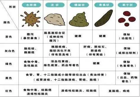 正常的大便颜色形状正常的大便颜色2022已更新今日动态