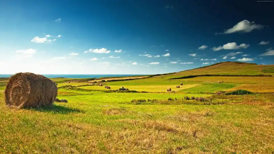 草地5k4k壁纸干草天空云草水平1280x800分辨率查看