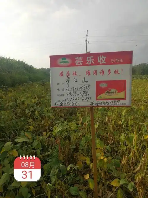 芸乐收示范效果!地址:陆溪镇界石村