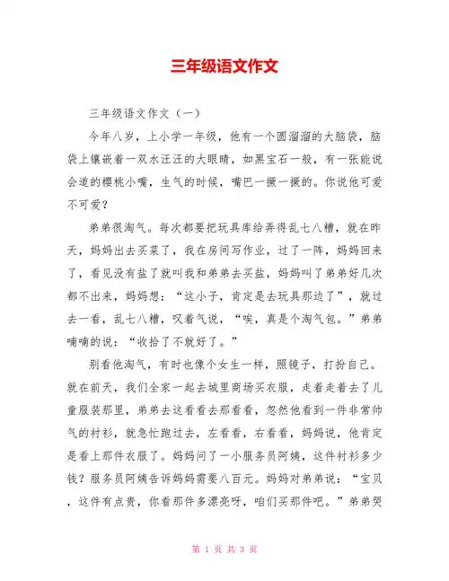 三年级语文作文