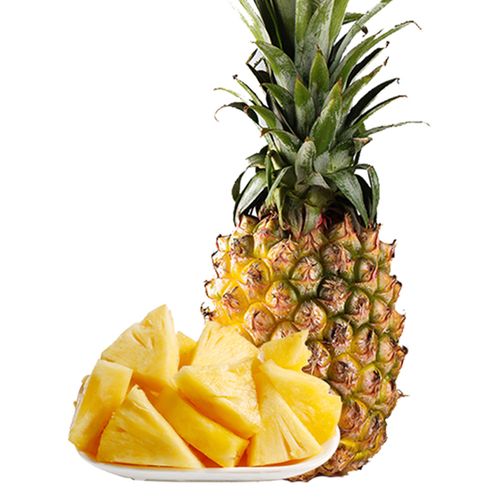 西沛热带水果类