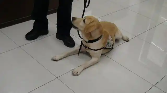 再次强调毒品防制重要性及铁腕扫荡的决心,誓师后执行闭锁式扩大临检