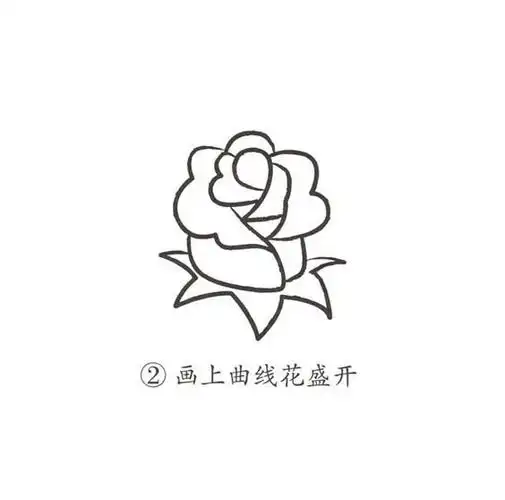 玫瑰花简笔画画法图片