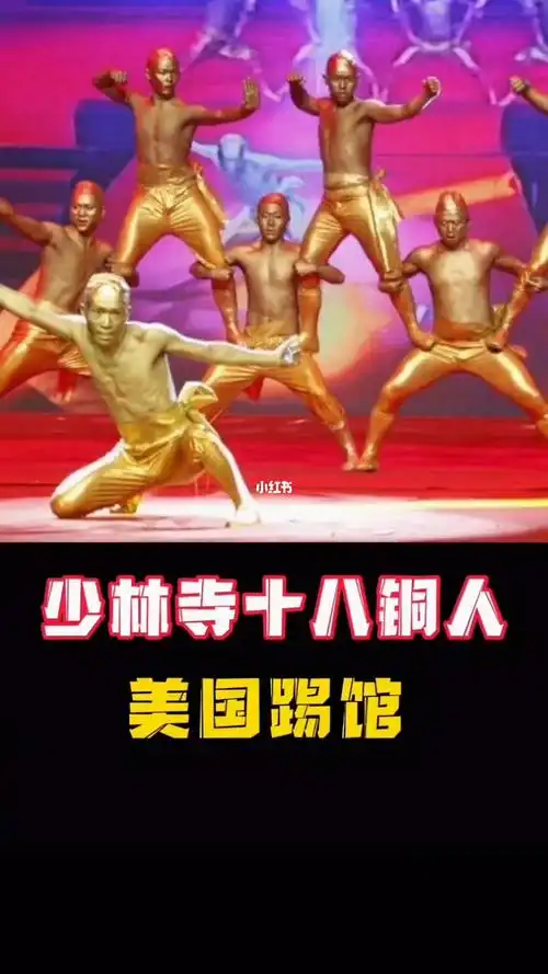 少林寺十八铜人美国踢馆