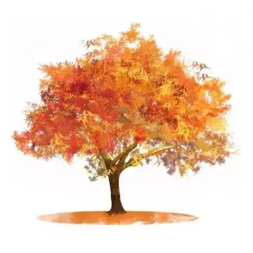秋天红色金色的大树枫树水彩插画651775png图片素材