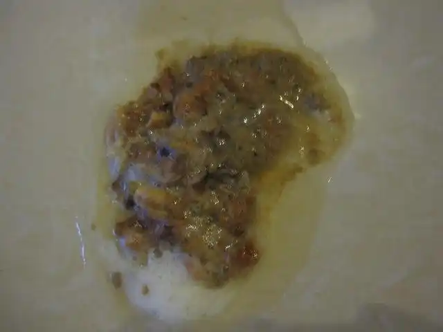 狗狗呕吐物的颜色代表了什么