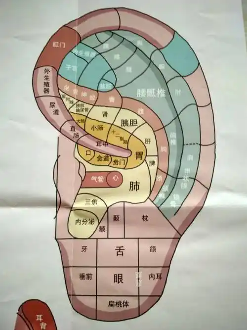 足部按摩口诀反射区图片和按摩手法一