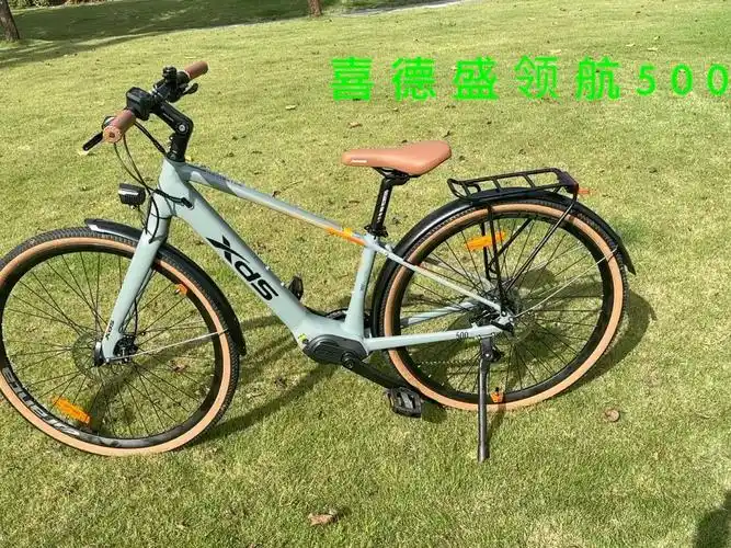 xds喜德盛领航锂电助力自行车省力休闲旅行