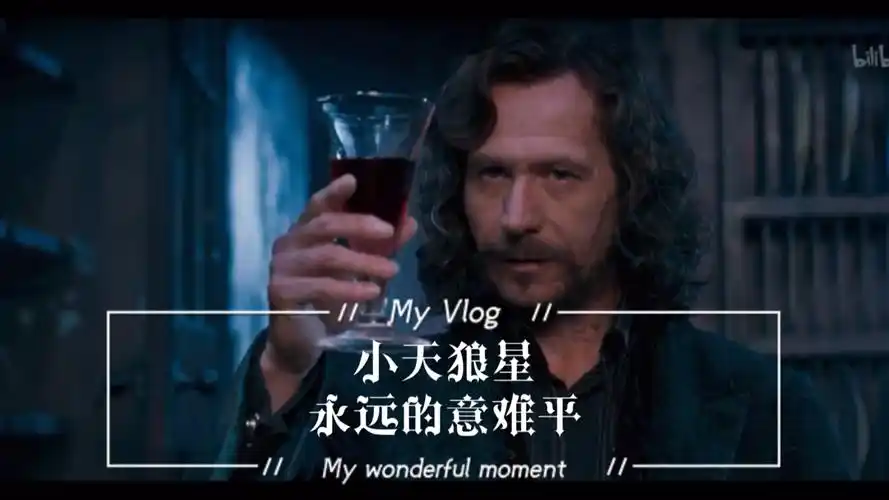 【hp哈利波特 | 小天狼星个人向】西里斯·布莱克,永远的意难平.