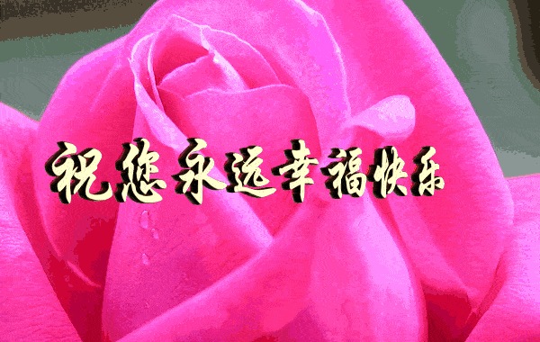 母亲节将至祝天下母亲身体健康