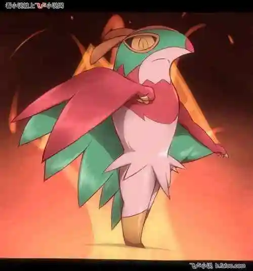 神奇宝贝:牵绊智爷:战斗飞鸟图文