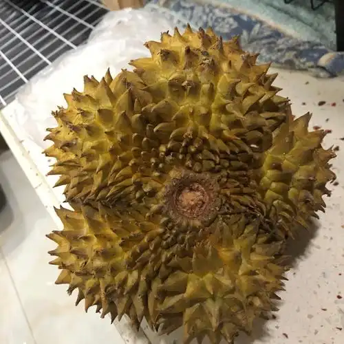 但是放了两天都没有香味,而且感觉根部和底部都烂了该不会#榴莲