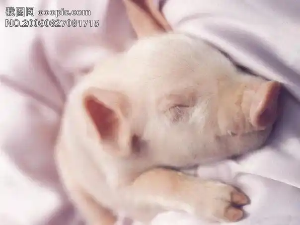 小女子率宿舍萌姐来膜拜csdn的大神们 [问题点数:40分]