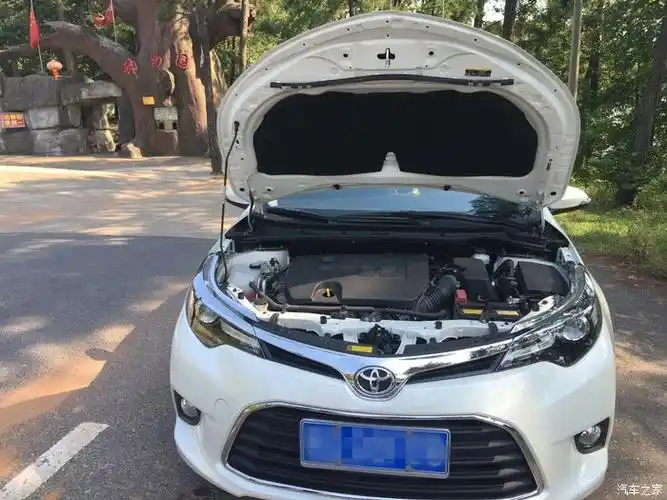 我的二老婆---雷凌