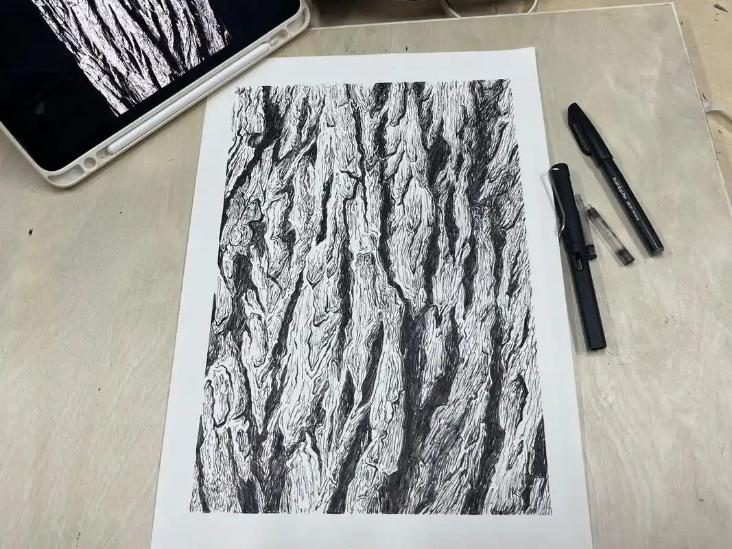 树皮怎么画 是一张练习作业啦