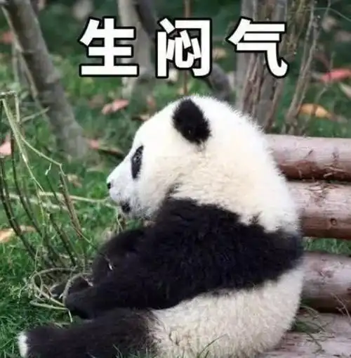 表情包可爱的熊猫表情包来啦