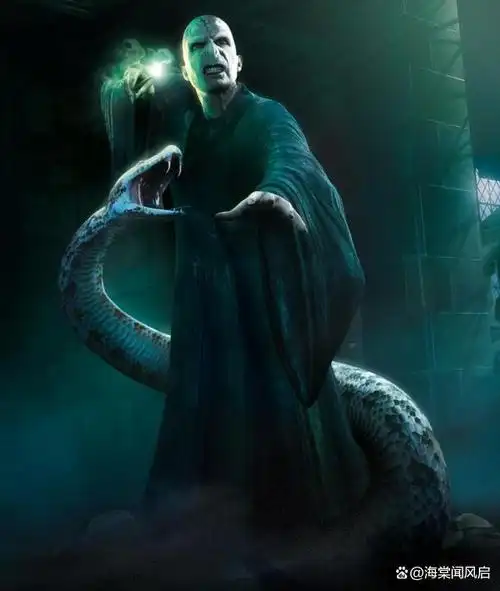 伏地魔特殊的设定:强支配欲,旺盛生命力