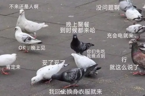 不见不散 - 表情包 - 挖吧