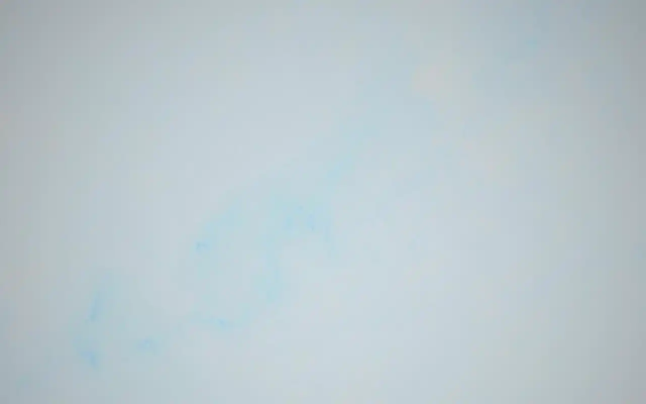 纯色素材背景图片桌面壁纸高清大图预览1920x1200_设计创意下载_美桌