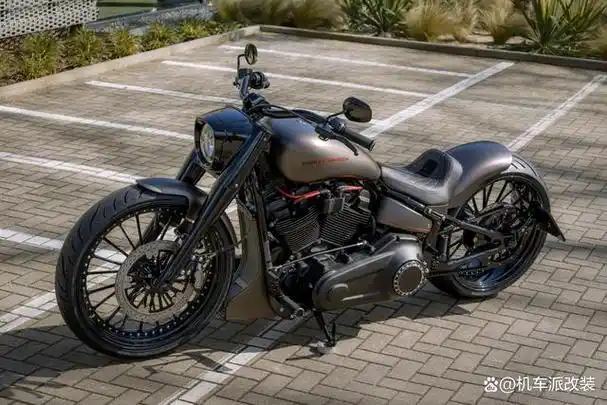 瘦身版肥仔 哈雷戴维森fat boy改装欣赏