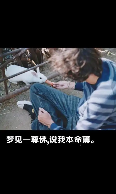 遇见了就珍惜,忘不了就铭记