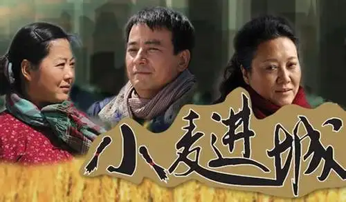 电视剧《小麦进城》里面剧情有什么发光点?