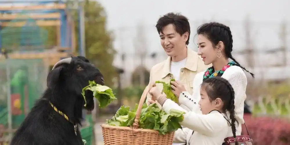 《怦然再心动》黄奕女儿懂事情商高,8岁成妈妈追爱路上最强助攻_崔伟