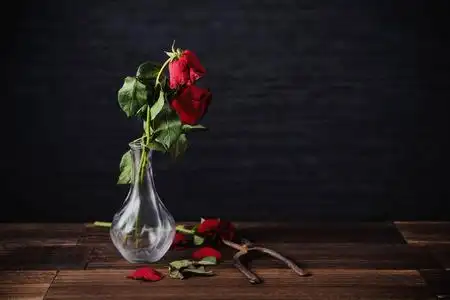 暗灰色背景下凋谢的玫瑰,木桌上摆着秋天的花瓣和树叶,设计理念是悲伤