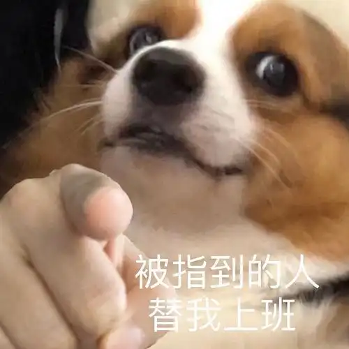 谁有狗头指人表情包吗