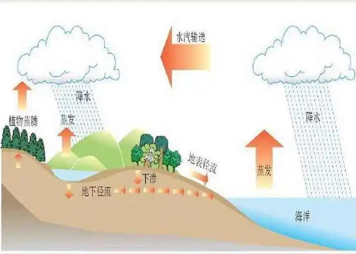 小朋友们从小河水到小雨滴的旅行,了解水循环系统