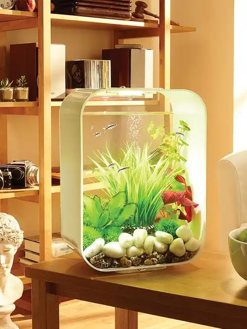 源头厂家家用小型装饰造景小免鱼缸水族箱客厅创意换水生态懒人桌