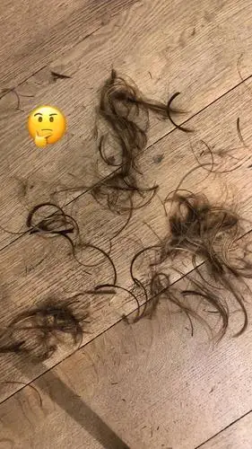 小贝晒出一地碎头发.