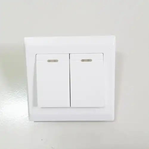 正品泰力老式插座家用两开双开开关二开单控面板电灯墙壁开关