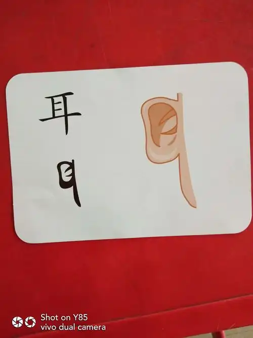 小中一《声朗朗特色象形识字》