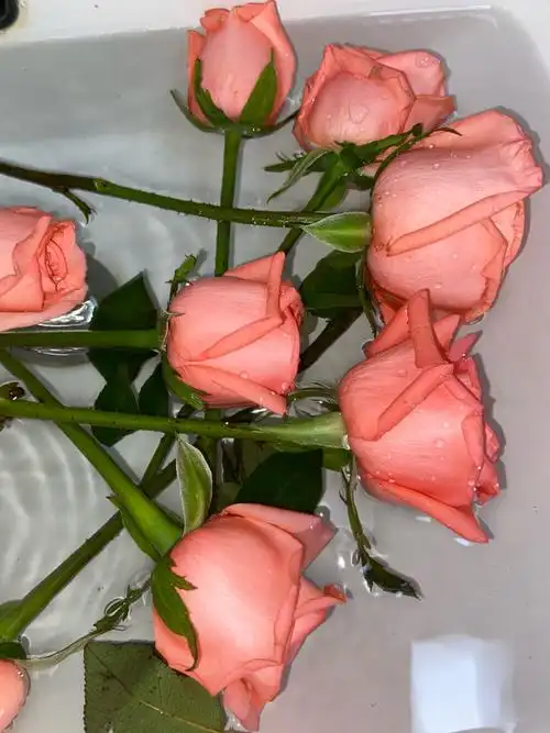 iphone 11 - 堆糖,美图壁纸兴趣社区