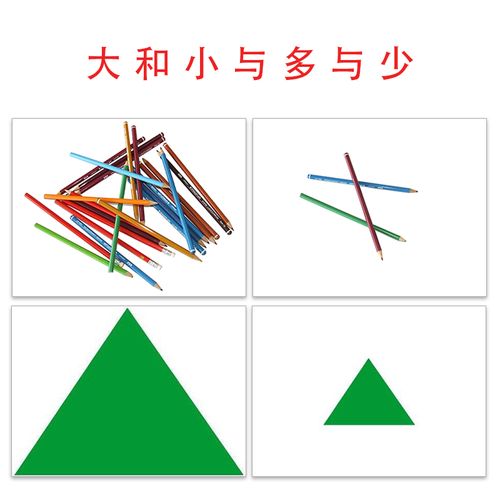 大和小与多和少 自闭症思维训练卡片儿童孤独症aba康复训练教具