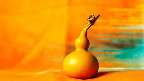 小的葫芦 静物特写