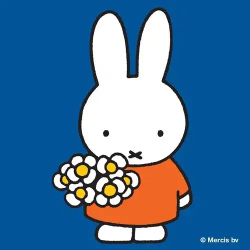 简单而又真诚米菲这只全世界最出名的兔子66岁啦