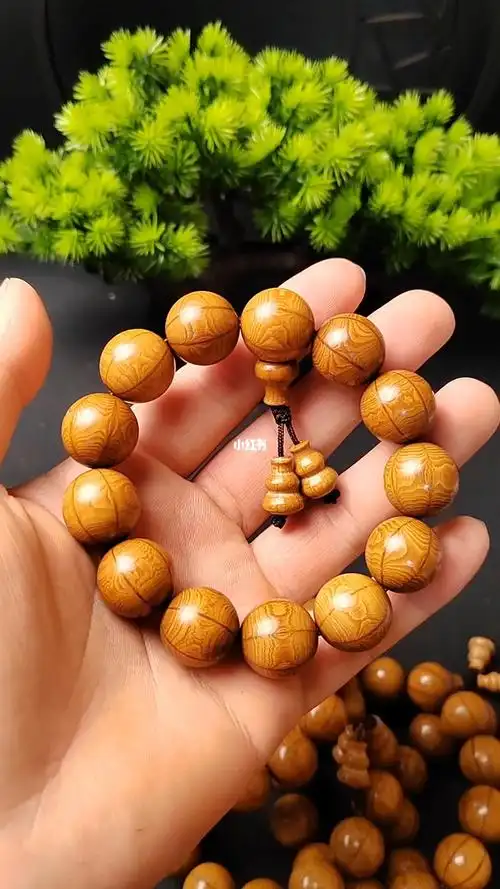 正宗五台山六道木18手串