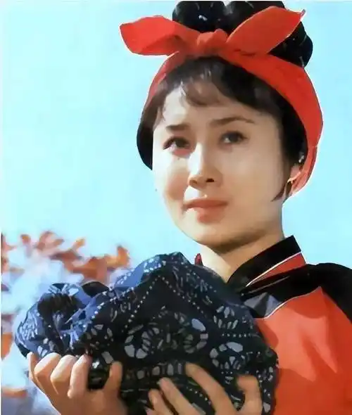 演员丁岚:一辈子不愁吃喝,为何58岁仍孤身一人?_李连杰_张鑫炎_时候