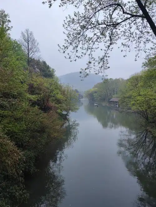 何须听丝竹,山水有清音:雨中游西湖
