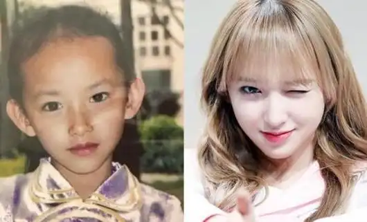 网上了解到程潇是没有整过容,有很多人觉得她是整过容,可从小时候的