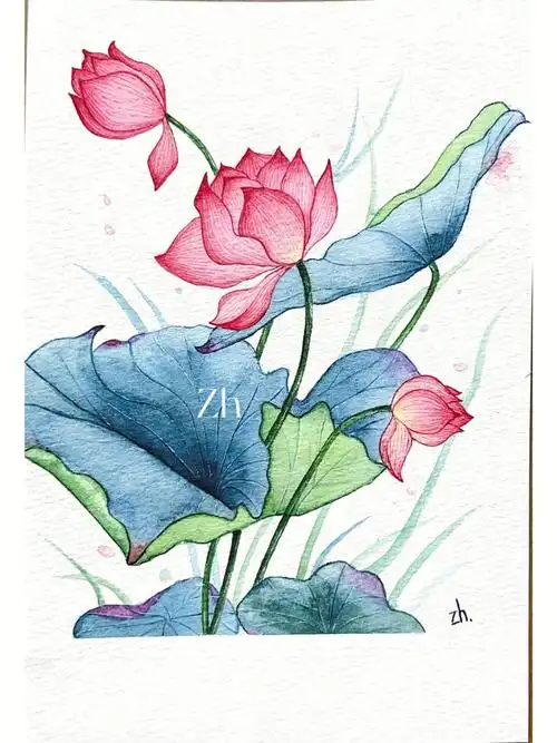 新手水彩花卉水彩荷花附过程