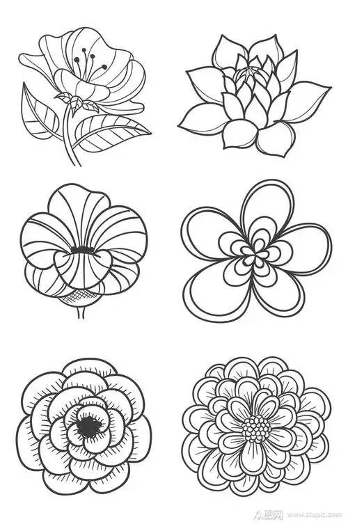 花朵植物图案设计元素