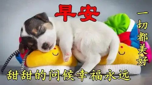 2020早上好图片动态 最美早安问候语动态图片