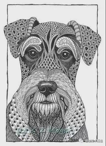 厉害了线描也疯狂动物黑白装饰画合辑