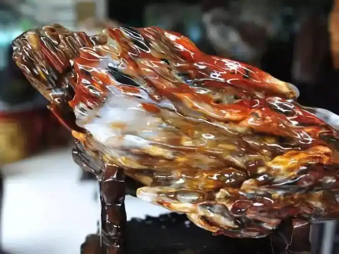 玉石族里的新宠树化玉