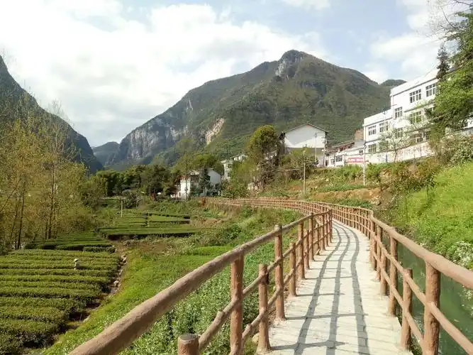 湖北省恩施土家族苗族自治州恩施市白杨坪乡081乡道天气预报