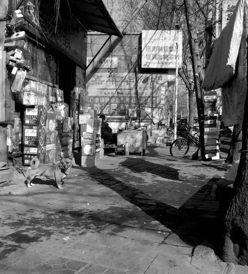 路边到处是门头房路边有家工商银行的门口经常有摆摊的注:以上照片皆